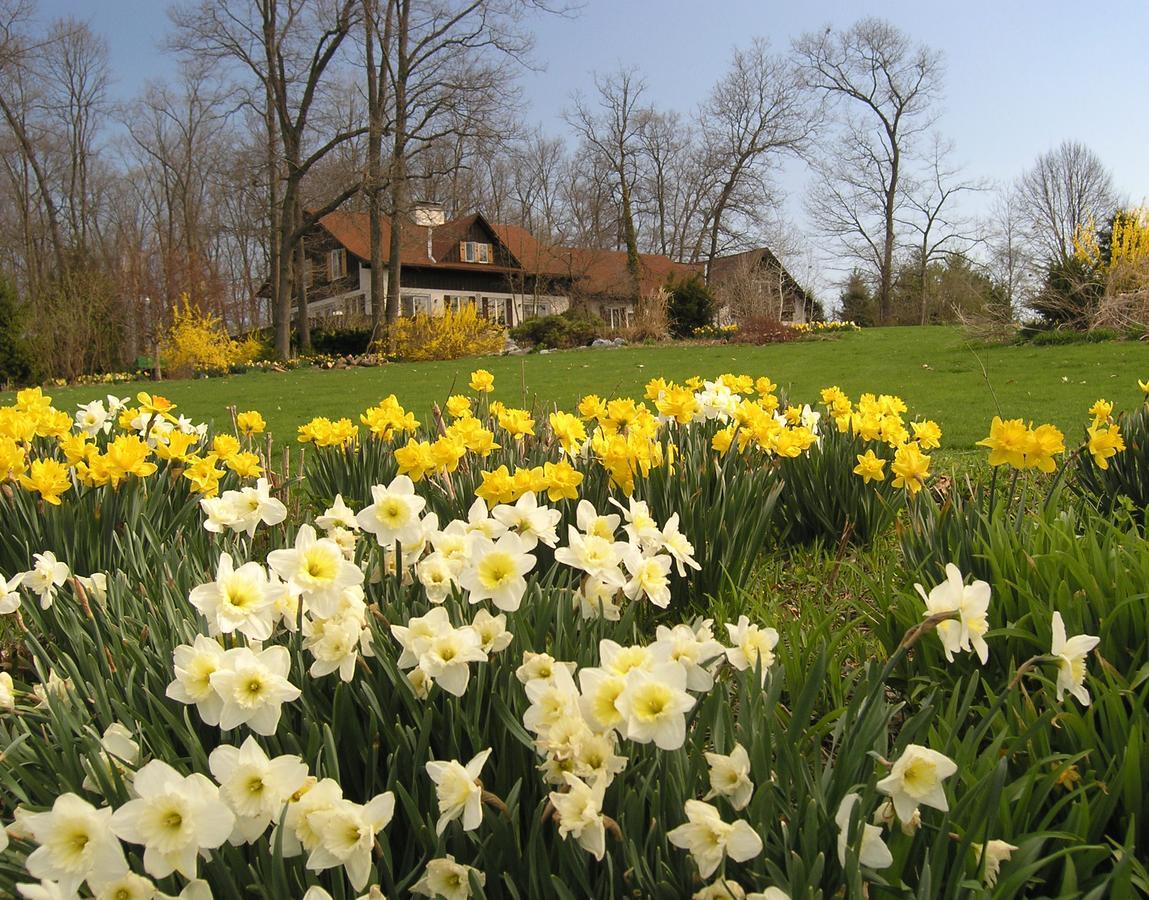 Swiss Woods Bed And Breakfast リティッツ エクステリア 写真