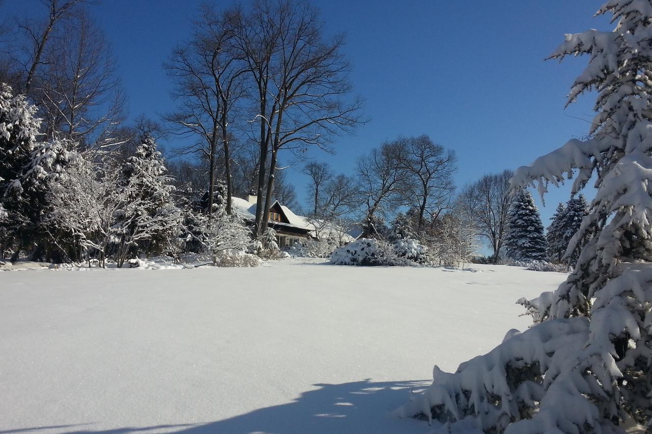 Swiss Woods Bed And Breakfast リティッツ エクステリア 写真