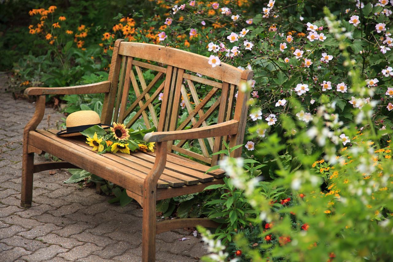 Swiss Woods Bed And Breakfast リティッツ エクステリア 写真