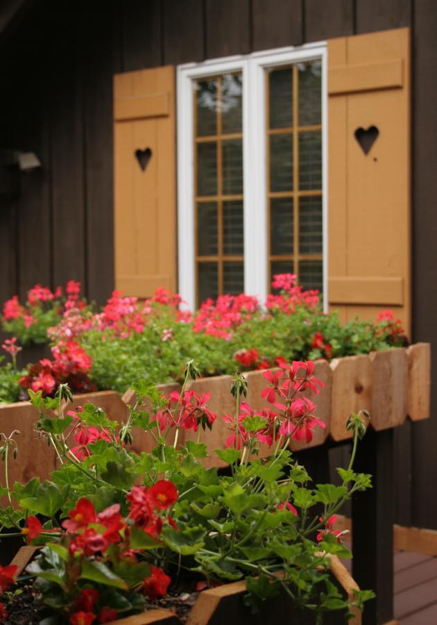 Swiss Woods Bed And Breakfast リティッツ エクステリア 写真